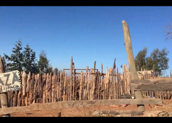Cigiden en Terreno: Campamento Ángel Parra en Valparaíso