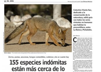 155 especies indómitas están más cerca de lo que tu crees
