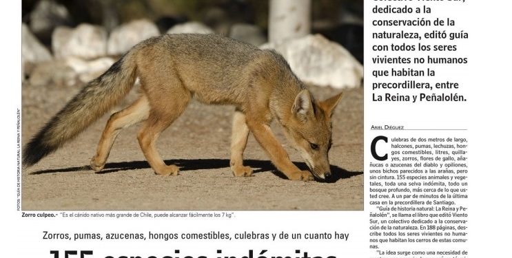 155 especies indómitas están más cerca de lo que tu crees