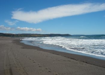 Informe científico advierte que la costa chilena requiere de urgente protección