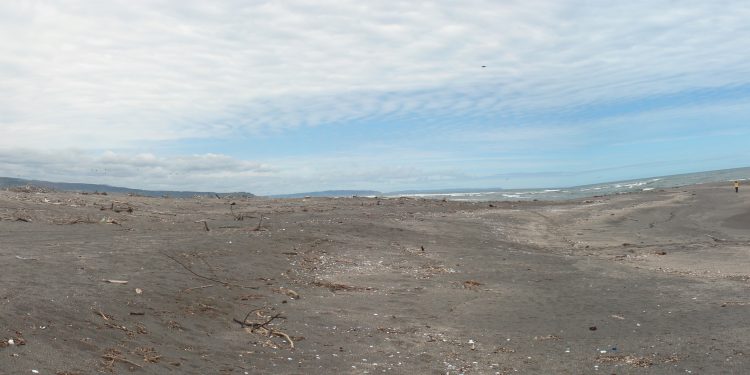 Representantes de Costa Chile y Observatorio de la Costa serán parte de mesa técnica para discutir “Ley de Borde Costero” en el Senado