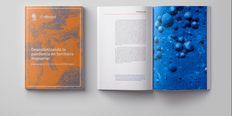 Inédito informe describe cómo se ha desarrollado la pandemia por Covid-19 en territorio mapuche