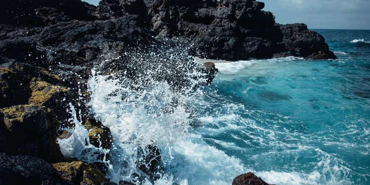 Seminario internacional propone las bases para una nueva gobernanza costera en Chile