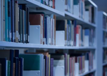 Investigadora CIGIDEN es reconocida en ranking que destaca las mejores publicaciones académicas del mundo