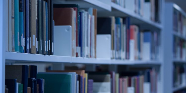 Investigadora CIGIDEN es reconocida en ranking que destaca las mejores publicaciones académicas del mundo