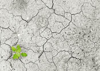 Convocatoria tesista de magíster o de doctorado para proyecto CIGIDEN-UC