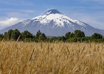 Investigadores latinoamericanos se capacitan en uso de plataforma de monitoreo satelital de volcanes creada por científicos chilenos