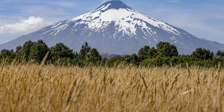 Investigadores latinoamericanos se capacitan en uso de plataforma de monitoreo satelital de volcanes creada por científicos chilenos