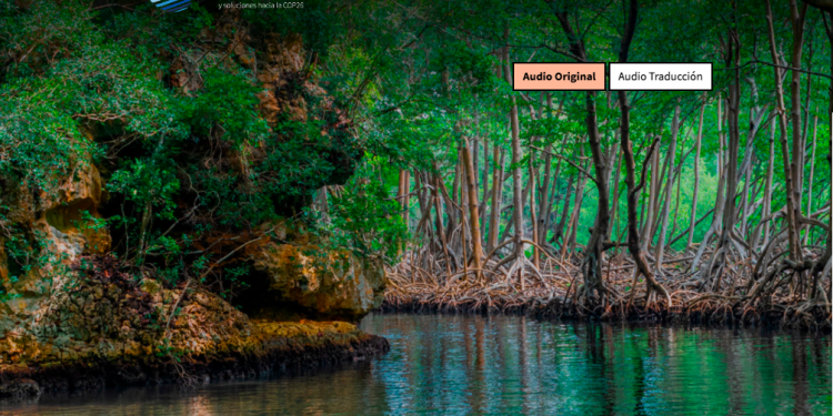 Investigadores de CIGIDEN participan en eventos internacionales sobre ingeniería civil, cambio climático y océanos