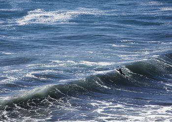 Crésdito: Mauricio Miranda.