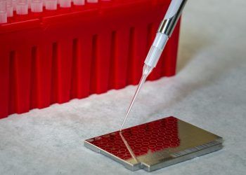 Call for Application Postdoctoral Position: Risk and Resilience Analysis Cluster, CIGIDEN Emerging public health threats, MICROB-R.