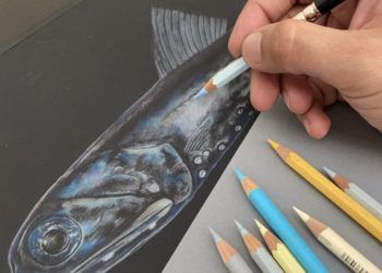 Doctora Carolina Martínez participará como docente en el curso tutorial online de Ilustración Científica Marina de Chile Central