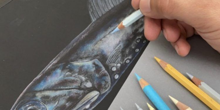 Doctora Carolina Martínez participará como docente en el curso tutorial online de Ilustración Científica Marina de Chile Central