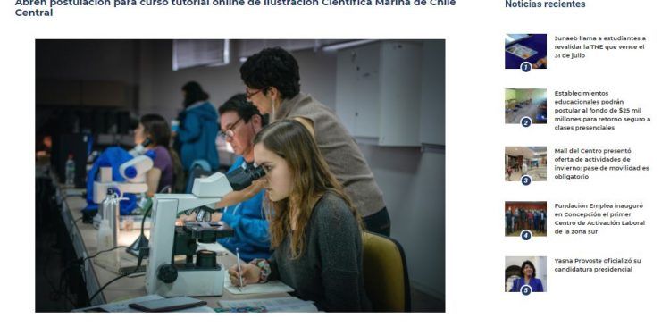 RadioUdec.cl: Abren postulación para curso tutorial online de Ilustración Científica Marina de Chile Central Ver imagen más grande.