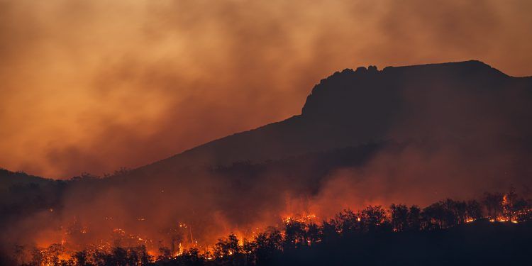 Andrés Pereira: “Nos encontramos frente a un sobregiro ecológico y límite para la humanidad”