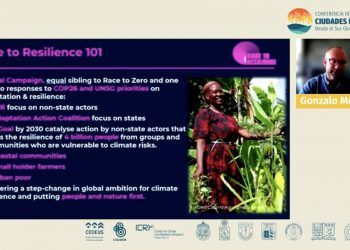 Gonzalo Muñoz: «No solo son las naciones están convocadas a combatir la crisis climática sino que también necesitamos a los gobiernos subnacionales»
