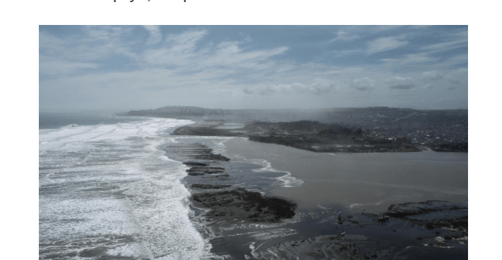 Radioudec.cl: Dra. Carolina Martínez: «Reemplazar el concepto de borde costero permitiría proteger no solamente las playas, sino que también los ecosistemas interactuantes»