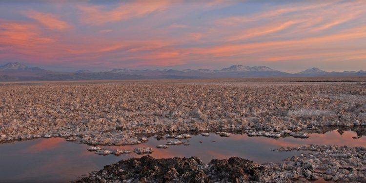 Científicos denuncian daño irreparable en los salares del norte de Chile