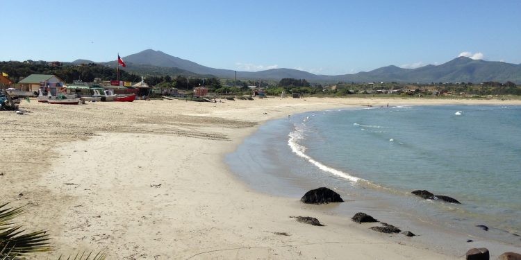 Científicos chilenos estudiarán en profundidad la evolución de los tsunamis al interior de las bahías