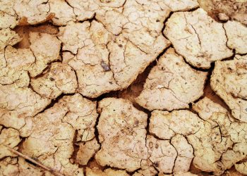 ¿Cómo impulsar acciones climáticas sustentables  en el contexto del cambio climático? 