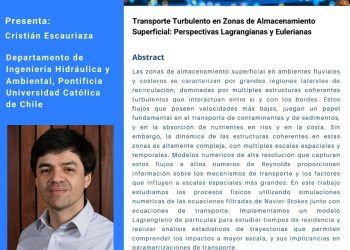 Transporte Turbulento en Zonas de Almacenamiento Superficial: Perspectivas Lagrangianas y Eulerianas