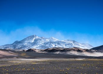 ¿Qué estrategias indígenas se usan para enfrentar la sequía en el desierto más árido del mundo?
