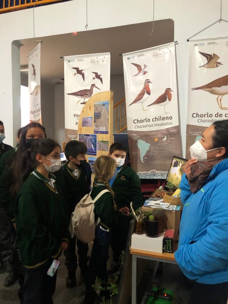 Feria sobre riesgos y ecosistemas costeros en Constitución reúne a más de 200 estudiantes