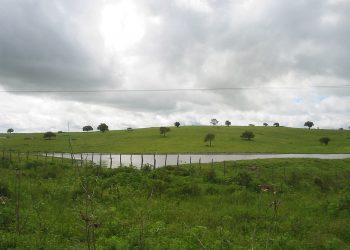 Ciclo de coloquios “Aguas Revueltas” finaliza con análisis de percepción de los ciudadanos hacia la gestión hídrica 