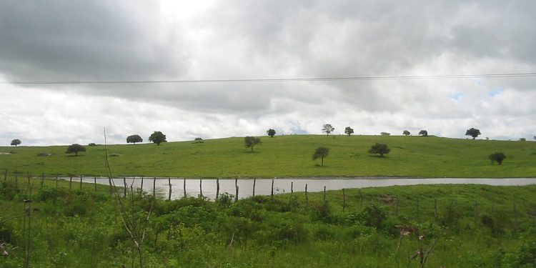 Ciclo de coloquios “Aguas Revueltas” finaliza con análisis de percepción de los ciudadanos hacia la gestión hídrica