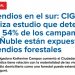 ADN | Incendios en el sur: CIGIDEN realiza estudio que determina que 54% de los campamentos del Ñuble están expuestos a incendios forestales