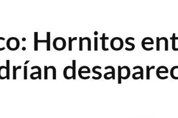 El Diario de Antofagasta | Cambio climático: Hornitos entre las 10 playas de Chile que podrían desaparecer en la próxima década
