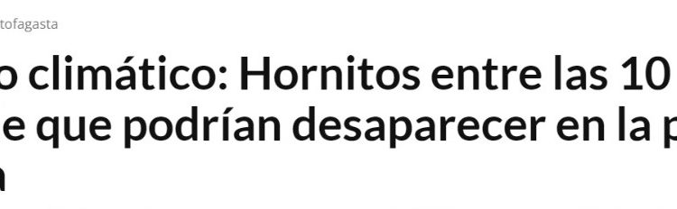 El Diario de Antofagasta | Cambio climático: Hornitos entre las 10 playas de Chile que podrían desaparecer en la próxima década