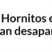 El Diario de Antofagasta | Cambio climático: Hornitos entre las 10 playas de Chile que podrían desaparecer en la próxima década
