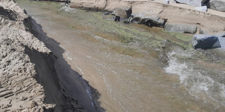 El futuro incierto del Estero Marga Marga