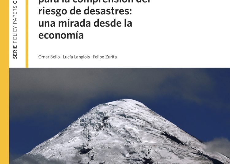 Requisitos informacionales para la comprensión del riesgo de desastres: una mirada desde la economía