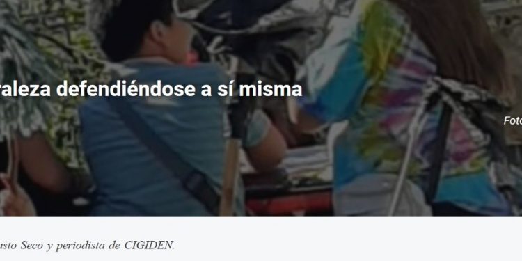 Descentrados | Somos la Naturaleza defendiéndose a sí misma