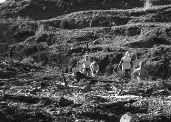 CIGIDEN se adjudica FONDART para crear obra que se inspira en el incendio de “Santa Olga”