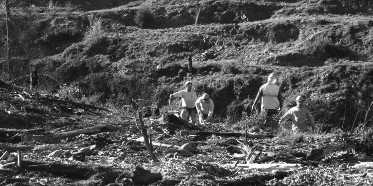 CIGIDEN se adjudica FONDART para crear obra que se inspira en el incendio de “Santa Olga”