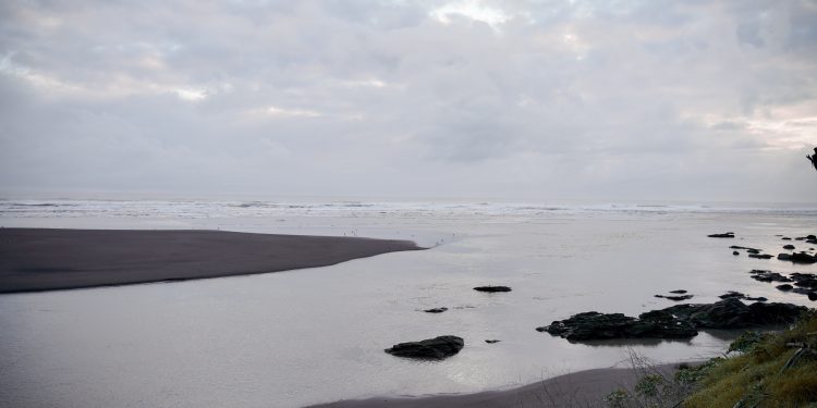 Cierre de desembocaduras de ríos: el colapso de los ecosistemas costeros en Chile
