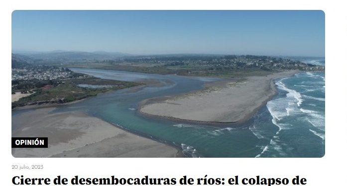El Mostrador | Cierre de desembocaduras de ríos: el colapso de los ecosistemas costeros en Chile