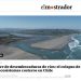 El Mostrador | Cierre de desembocaduras de ríos: el colapso de los ecosistemas costeros en Chile