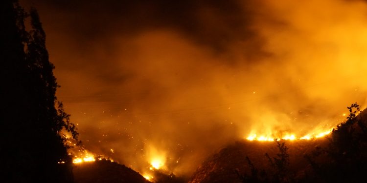 Seminario abordará estrategias para gestionar el riesgo de incendio forestal en la zona rural-urbana