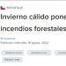 BN Americas | Invierno cálido pone a Chile en riesgo de incendios forestales en verano
