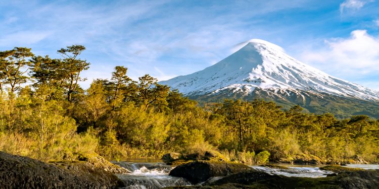 ¿Dónde está la cancha?