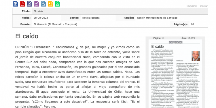 Litoralpress | El caído