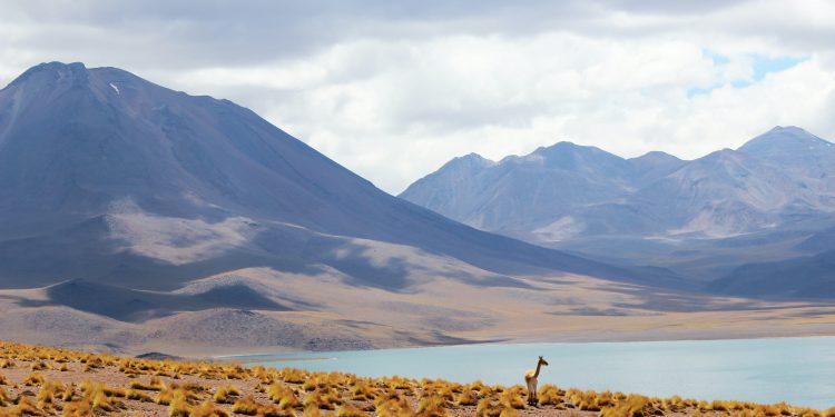 Nueva Constitución y cambio climático: el insuficiente artículo 212