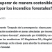 Noticias UC | ¿Cómo recuperar de manera sostenible las zonas afectadas por los incendios forestales?