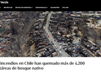 EFE Verde | Los incendios en Chile han quemado más de 4.200 hectáreas de bosque nativo