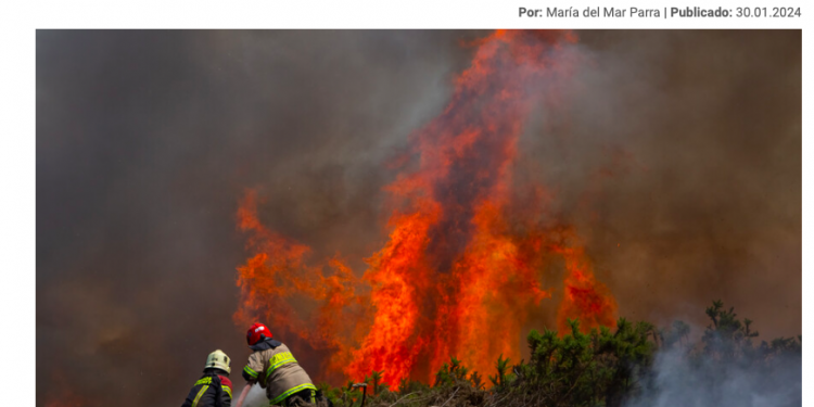 El Desconcierto | Conaf revela que 30% de los incendios ocurridos entre agosto y enero fueron intencionales