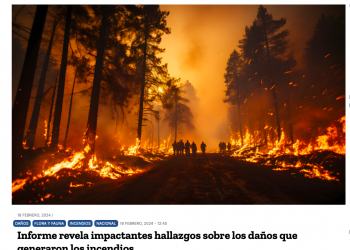 El Diario Inmobiliario | Informe revela impactantes hallazgos sobre los daños que generaron los incendios